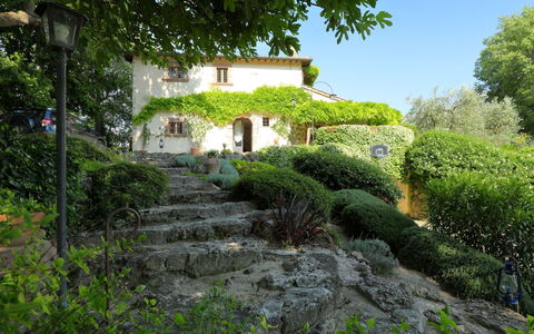 Oasis: Vegetation, Property, Garden, Natural Landscape, House, Cottage, Botany, Shrub, Building, Tree