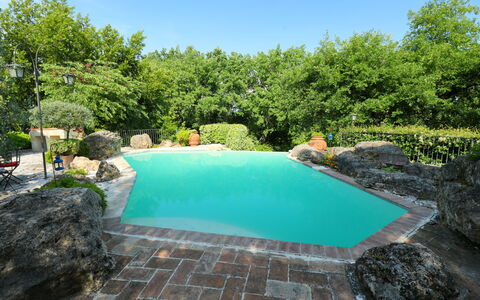 Oasis: Water, Plant, Sky, Water Resources, Swimming Pool, Azure, Tree, Natural Landscape, Vegetation, Grass