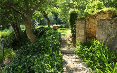 Oasis