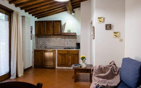 Accommodation:&nbsp;Olivi