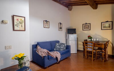 Accommodation:&nbsp;Olivi