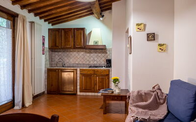 Accommodation:&nbsp;Olivi
