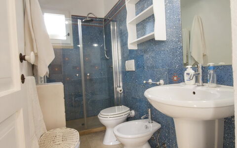 Accommodation:&nbsp;Studio