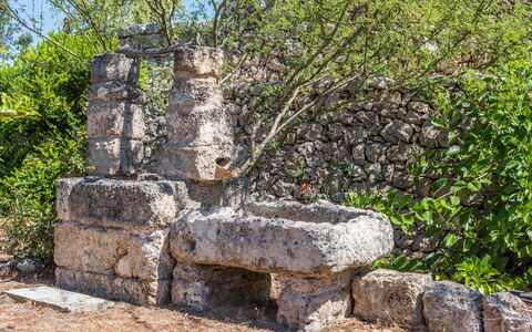 Salento Luxury Retreat: Plant, Tree, Bedrock, Landscape, Stone Wall, Grass, Font, Archaeological Site, Rock, Shrub