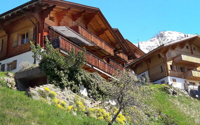 Bluemewäg Apt.r - Wengen, Bern, Switzerland