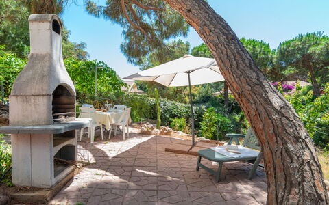 Valledoria 710: Plant, Furniture, Property, Sky, Plant Community, Tree, Outdoor Furniture, Shade, Leisure, Landscape