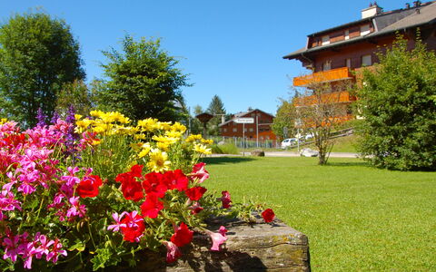 Villars 125: Flower, Nature, Garden, Plant, Spring, Tree, Sky, Grass, Botany, House