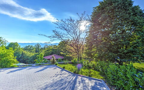 Dante: Nature, Sky, Blue, Tree, Property, Daytime, Real Estate, Garden, Botany, Grass
