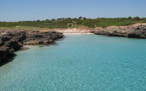 Fonoll Mari: Body Of Water, Sea, Water, Water Resources, Coast, Coastal And Oceanic Landforms, Turquoise, Bay, Bight, Cove