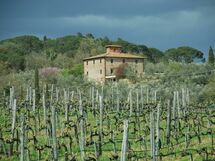 Accommodation:&nbsp;Villa Margherita