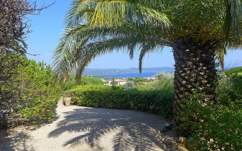 Villa Micheline: Vegetation, Property, Tree, Natural Environment, Sky, Real Estate, Nature Reserve, Grass, Botany, House