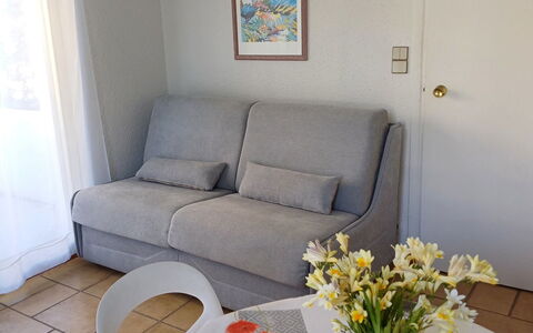 Cavalaire 264: Couch, Flower, Picture Frame, Furniture, Plant, Table, Studio Couch, Interior Design, Living Room, Floor