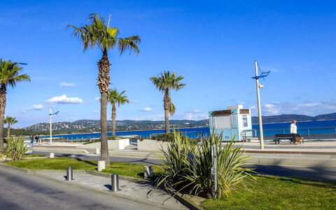 Cavalaire 264: Sky, Plant, Cloud, Water, Azure, Tree, Coastal And Oceanic Landforms, Arecales, Road Surface, Shade