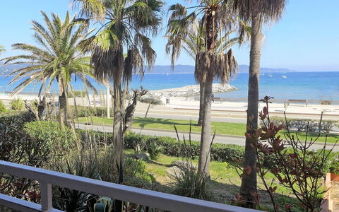 Villa Medicis: Property, Tree, Shore, Real Estate, Palm Tree, Sky, Ocean, Vacation, Coast, Sea
