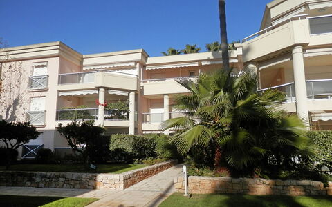 Eden Cap: Sky, Plant, Building, Property, Window, Tree, Arecales, Urban Design, House, Residential Area