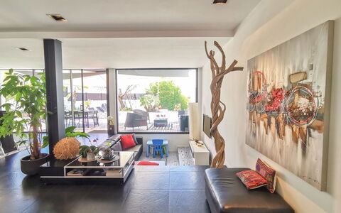Les Oliviers: Furniture, Property, Plant, Couch, Wood, Houseplant, Interior Design, Living Room, Architecture, Table