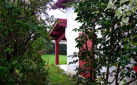 Eki Alde: Botany, Tree, Plant, House, Flower, Shrub, Architecture, Home, Building