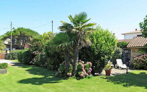 La Poste: Property, Tree, Garden, Real Estate, Yard, Plant, Land Lot, Home, Lawn, Grass
