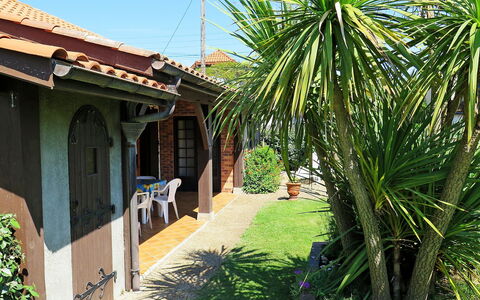 Poste: Property, House, Real Estate, Tree, Building, Palm Tree, Botany, Arecales, Grass, Plant