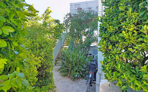 Mimizan 314: Green, Leaf, Shrub, Sunlight, Woody Plant, Shade, Garden, Hedge, Evergreen, Walkway