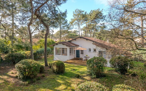 Les Bruyères: Tree, Branch, House, Vegetation, Shrub, Home, Cottage, Residential Area, Roof