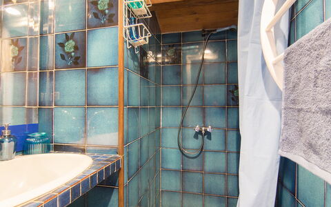 Faisans: Plumbing Fixture, Azure, Blue, Sink, Bathroom, Interior Design, Shower, Tap, Plumbing, Floor
