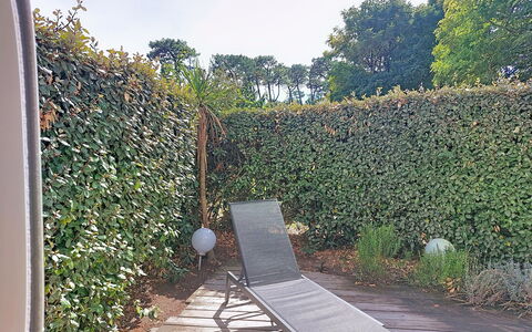 Artémis: Shrub, Hedge, Groundcover, Garden, Shade, Evergreen, Backyard, Herb