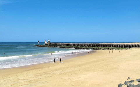Artémis: Water, Body Of Water, Natural Environment, Beach, Coast, Sea, Wave, Coastal And Oceanic Landforms, Summer