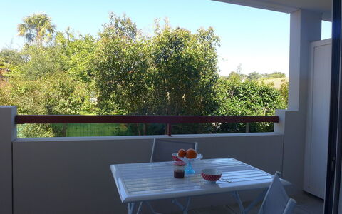 Selvia Quetia: Sky, Property, Furniture, Table, Building, Leaf, Azure, Wood, Tableware, Shade