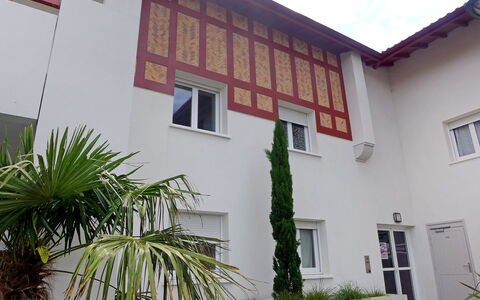 Selvia Quetia: Window, Property, Plant, Building, Leaf, Architecture, Wall, Arecales, Facade