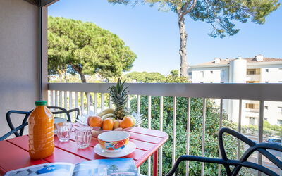 Accommodation:&nbsp;Le Zodiaque Ii 220.3
