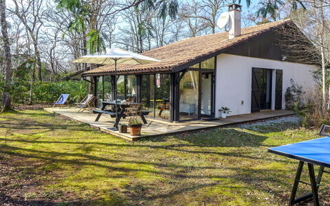 Marina de Talaris: Plant, Building, Sky, Shade, Window, Tree, House, Land Lot, Table, Door