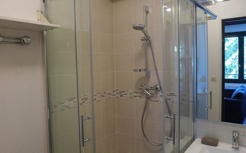 Le Cristal des Glaces: Shower Head, Shower Door, Plumbing Fixture, Sink, Shower Bar, Shower, Bathroom, Mirror, Shower Panel