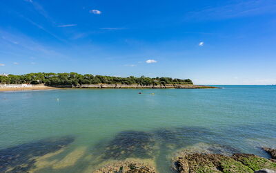 Les Adichats