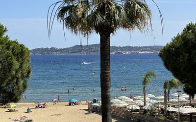 Accommodation:&nbsp;Les Dauphins 124.2