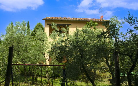 Collina dei Fiori: Tree, Leaf, Vegetation, Shrub, Land Lot, Home, Rural Area, Spring, Cottage, Garden