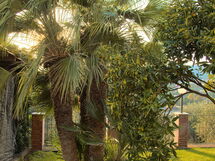 Casa Luciana - Diano Marina