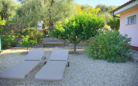 Casa Ilaria - Diano Marina: Property, Vegetation, Yard, Garden, Real Estate, Backyard, House, Tree, Botany, Landscape