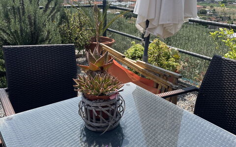 Casa Ilaria - Diano Marina: Furniture, Chair, Outdoor Furniture, Table, Outdoor Table, Shade, Restaurant, Kitchen & Dining Room Table, Coffee Table, Balcony