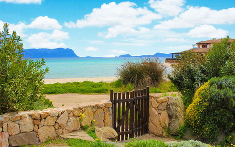 Golfo Aranci Ortensia Apartments: Property, Natural Landscape, Sky, Blue, House, Real Estate, Cloud, Azure, Sea, Tree
