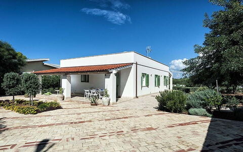 Bianca: Shrub, Residential Area, Home, Roof, Groundcover, Garden, Shade, Estate, Landscaping