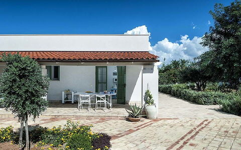 Bianca: House, Home, Shrub, Residential Area, Facade, Roof, Garden, Door, Flowerpot