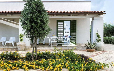 Bianca: Shrub, Garden, Shade, Flowerpot, Landscaping, Yard, Houseplant, Courtyard, Backyard