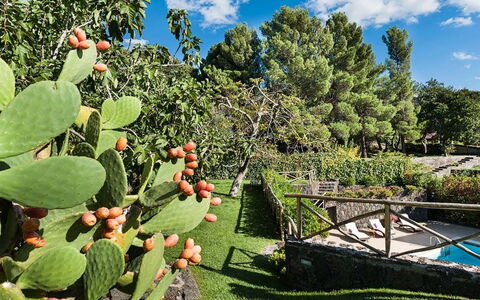 Eden Retreat: Cloud, Plant, Sky, Plant Community, Botany, Leaf, Vegetation, Tree, Natural Landscape, Biome