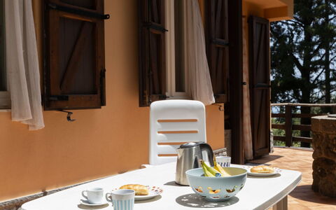 Mareneve: Table, Property, Furniture, Tableware, Building, Wood, Dishware, Interior Design, Food, Textile