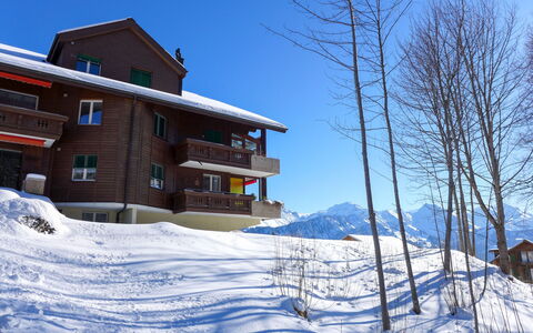 Rehli: Winter, Property, Slope, House, Freezing, Building, Home, Real Estate, Snow, Roof