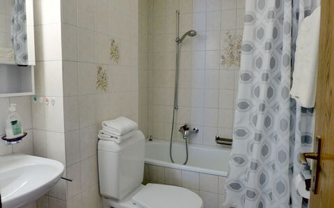 Rehli: Property, Plumbing Fixture, Purple, Bathroom, Black, Toilet, Shower, Tap, Toilet Seat