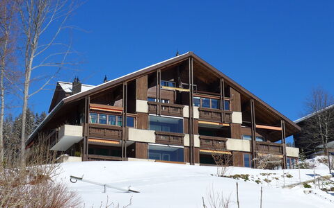 Rehli: Sky, Plant, Snow, Slope, Window, Tree, Wood, Building, Residential Area, Landscape
