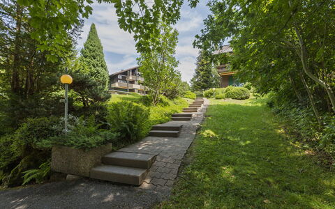 Rehli: Green, Shrub, Garden, Groundcover, Stairs, Spring, Walkway, Landscaping, Lawn, Yard
