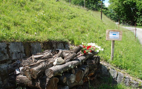 Rustico Fey: Wall, Grass, Nature Reserve, Tree, Geological Phenomenon, Rock, Plant, Plant Community, Stone Wall, Grass Family